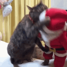 Cat Fight Santa Fight GIF - Cat Fight Santa Fight Christmas Lights GIFs