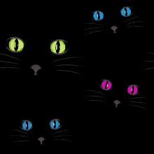 cats eyes