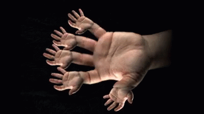 Handception Finger GIF - Handception Finger Hand GIFs