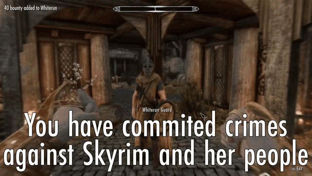 The perfect Skyrim Guard Whiterun Animated GIF for your conversation. 