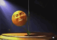 Orange Dyingaliengif GIF - Orange Dyingaliengif GIFs