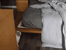 "The Bed Is Finally Mine!! You Fools Abandoned The Most Comfortabl-fuck" GIF - Rabbit Bunny Bed GIFs