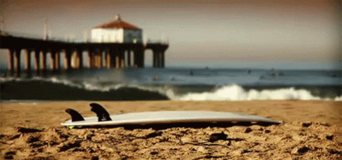California Beach GIF - California Beach Surf Board - Discover & Share GIFs