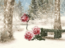 Winter Wonderland GIF - Winter Wonderland Rose GIFs