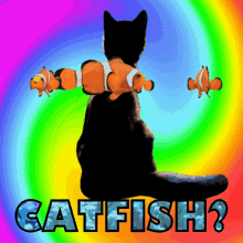 catfish fishy cat black cat clownfish