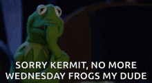 Kermit Oh GIF - Kermit Oh No GIFs