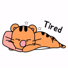tiger animal tired exhausted sleepy