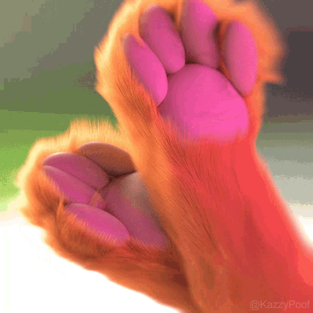 skab jordskælv Klassificer Toe Beans Furry GIF - Toe Beans Beans Furry - Discover & Share GIFs