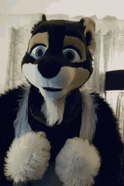 https://c.tenor.com/_r1tSgF0vQ4AAAAe/fursuit-furry.png