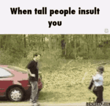 slap tall short when tall people insult you