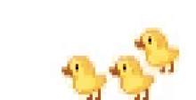 Chicks GIF - Chicks GIFs