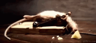 Workout Mouse Working Out GIF - Workout Mouse Working Out What Doesnt Kill You Makes You Stronger GIFs