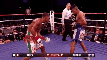 boxing-devin.gif