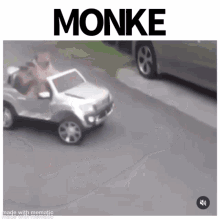 Monke Monke Car GIF - Monke Monke Car Car GIFs
