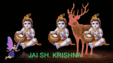 jai sh krishna fly fairy smile jai sh krishna fly fairy smile