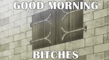 Good Morning Bitches GIF - Goodmorning Morning GIFs