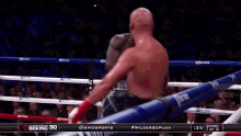 wilder boxing boxers punch
