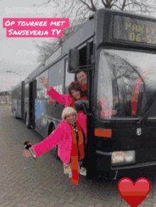 Sanseveria Sanseveria Tv GIF - Sanseveria Sanseveria Tv Tv GIFs