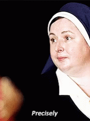 Precisely Sister Michael GIF - Precisely Sister Michael Derrygirls GIFs