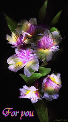 For You Flowers GIF - For You Flowers Pretty GIFs