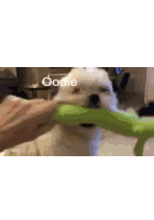 Oodles Dog Sticker - Oodles Dog Doggo Stickers