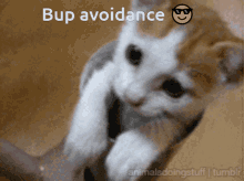 I Avoid The Boops GIF - I Avoid The Boops Boop GIFs