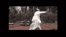 Kungfu Veteran GIF - Mithun Da Shera GIFs