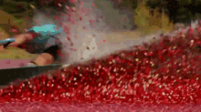 Wakeboarding A Cranberry Bog GIF - Wakeboarding Cranberry Bog Awesome GIFs