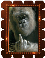Ape Monkey Sticker - Ape Monkey Nods Stickers