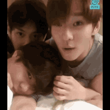imfact cute