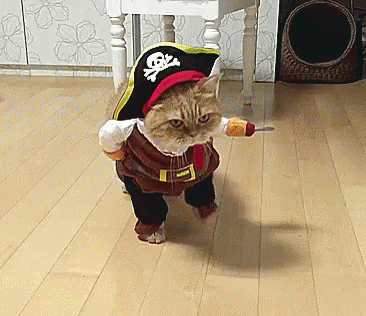 [Image: pirates-pirate.gif]