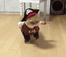 Pirates GIF - Pirates Pirate Cat GIFs