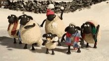 Snowball Fight Throw GIF - Snowball Fight Fight Throw GIFs