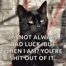 sassy cats im not always bad luck youre shit out of it