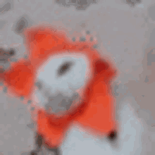 sicko orange