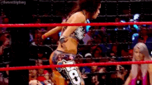 chamber wwe