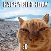 Happy Birthday Cat Jasgagger Meepy Dm4uz3 GIF - Happy Birthday Cat Jasgagger Meepy Dm4uz3 GIFs