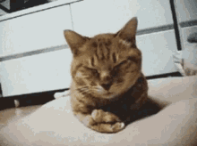 Ağlayan Kedi GIF - Aglayan Kedi Uzgun Aglamak GIFs