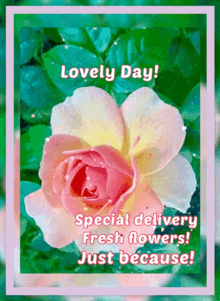 Lovely Day GIF - Lovely Day Friend GIFs