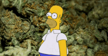 Wut GIF - Trees Simpsons Weed GIFs