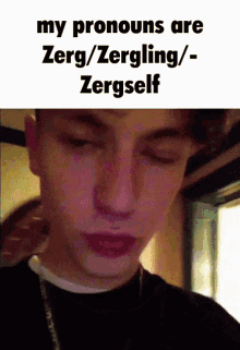 Zergling Zergling213 GIF - Zergling Zergling213 Pronouns GIFs