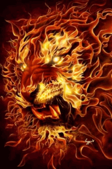 Fire Lion GIF - Fire Lion Magical GIFs