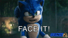 Face It Sonic GIF - Face It Sonic Sonic The Hedgehog2 GIFs