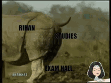 Rihan Studying Go Study GIF - Rihan Studying Rihan Go Study GIFs