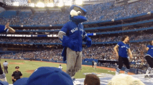 Toronto Blue Jays Ace GIF - Toronto Blue Jays Ace Blue Jays GIFs
