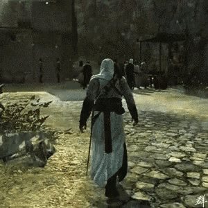 assassin-fly.gif