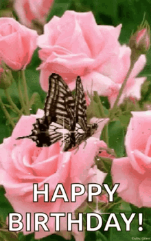 Pink Roses Butterfly GIF - Pink Roses Butterfly Happy Birthday GIFs
