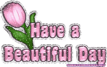 Have A Beautiful Day Greeting GIF - Have A Beautiful Day Greeting Sparkle GIFs