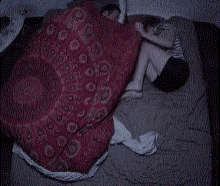 Sleep This Is Sparta GIF - Sleep This Is Sparta Blanket Hog GIFs