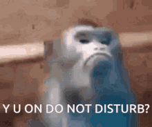 sad monke